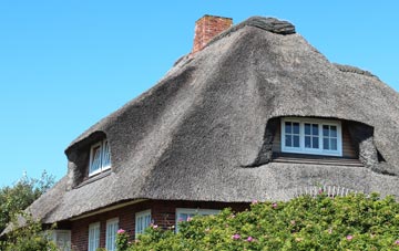 thatch roofing Southfields
